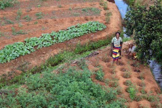 Chương trình Lương thực Thế giới quan ngại về tình hình bất ổn lương thực tại Madagascar